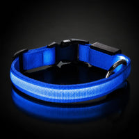 LumiDog color azul