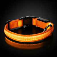 LumiDog color naranja