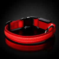 LumiDog color rojo