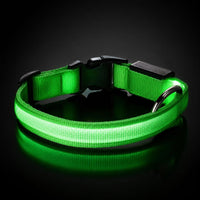 LumiDog collar LED verde brillando, vista de estudio