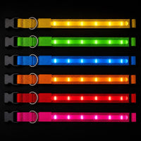 Los 6 colores del collar LED LumiDog