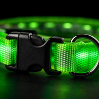 Detalle de la hebilla y anilla metalica del collar LumiDog